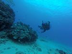 Hawaii Scuba divng 56