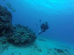 Hawaii Scuba divng 56