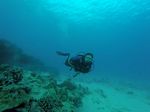 Hawaii Scuba divng 57