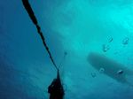 Hawaii Scuba divng 05