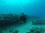 Hawaii Scuba divng 62