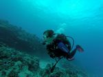 Hawaii Scuba divng 63