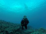 Hawaii Scuba divng 69