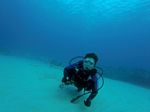 Hawaii Scuba divng 70