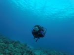 Hawaii Scuba divng 72