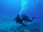 Hawaii Scuba divng 10