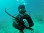 Hawaii Scuba divng 16