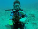 Hawaii Scuba divng 17