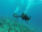 Hawaii Scuba divng 23