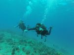 Hawaii Scuba divng 24