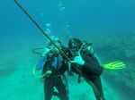 Hawaii Scuba divng 26