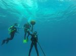 Hawaii Scuba divng 27