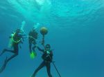 Hawaii Scuba divng 28