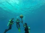 Hawaii Scuba divng 29