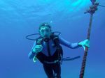 Hawaii Scuba divng 30