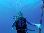 Hawaii Scuba divng 31