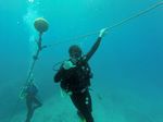 Hawaii Scuba divng 33