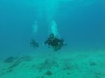 Hawaii Scuba divng 46