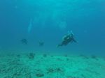 Hawaii Scuba divng 48