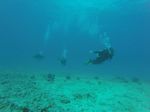 Hawaii Scuba divng 49