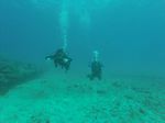 Hawaii Scuba divng 04