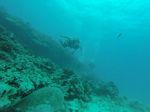 Hawaii Scuba divng 56