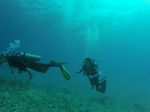 Hawaii Scuba divng 05