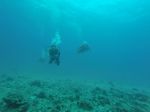 Hawaii Scuba divng 61