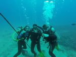 Hawaii Scuba divng 64