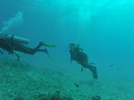 Hawaii Scuba divng 06