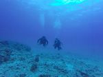 Hawaii Scuba divng 08