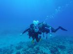 Hawaii Scuba divng 09