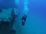 Hawaii Scuba divng 10