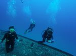 Hawaii Scuba divng 13