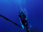 Hawaii Scuba divng 22