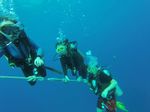 Hawaii Scuba divng 26