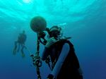 Hawaii Scuba divng 02