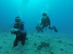 Hawaii Scuba divng 37