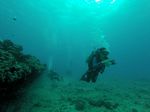 Hawaii Scuba divng 39