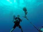 Hawaii Scuba divng 03