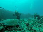 Hawaii Scuba divng 43