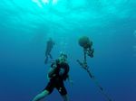 Hawaii Scuba divng 04