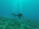 Hawaii Scuba divng 51