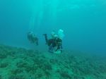 Hawaii Scuba divng 51