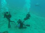 Hawaii Scuba divng 52