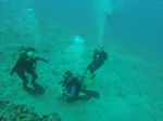 Hawaii Scuba divng 53