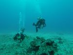 Hawaii Scuba divng 54