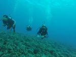 Hawaii Scuba divng 59