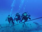 Hawaii Scuba divng 65