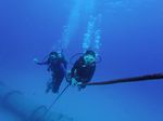 Hawaii Scuba divng 67